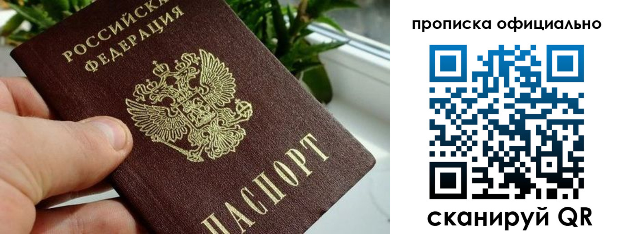 прописка поиск в Железногорск-Илимском
